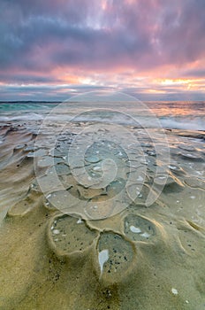 La Jolla Tide Pools