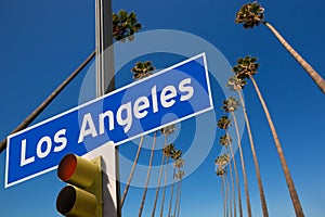 LA Los Angeles palm trees in a row road sign photo mount