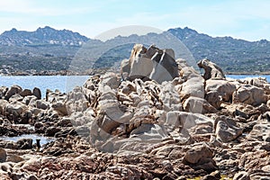 La Maddalena, Sardinia, Italy - Typical rocks shaped by water and wind characterize stretches of the coast of the island photo