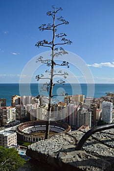 La Malagueta Bullring and Apartments with Sea View in Malaga, Spain