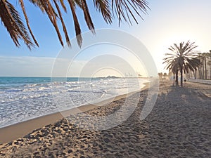 La Malagueta urban sand beach with palm trees promenade at sunrise golden light on the Costa del Sol, Malaga, Spain, Europe