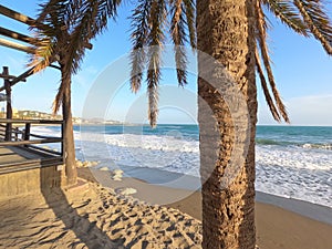 La Malagueta urban sand beach with palm trees promenade at sunrise golden light on the Costa del Sol, Malaga, Spain, Europe