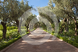 Garden of Hotel La Mamounia, Marrakesh photo