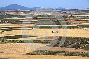 La Mancha Farmland & Vineyards - Spain