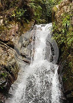 La Mina Falls in El Yunque National Rainforest photo