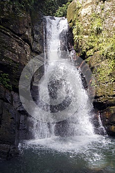 La Mina Waterfall, El Yunque National Park, Puerto Rico photo