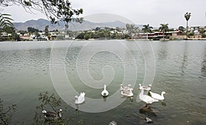 la molina district of lima peru