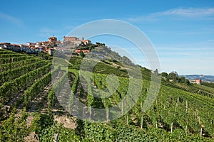 La Morra town in Piedmont, Langhe hills with vineyards in Italy