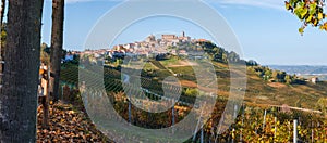 La Morra village, langhe vineyards hills. Wine turism, european travel destination. Viticulture, Langhe, Piedmont, Italy photo