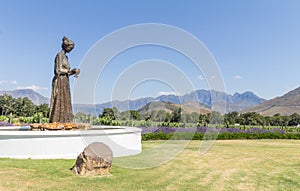 La Motte wine estate, Franschhoek, South Africa