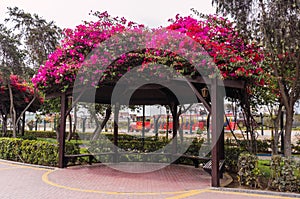 LA MURALLA PARK IN LIMA PERU photo