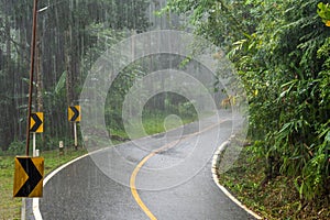La Nina cause a Heavy Rain in Tropical Forest photo