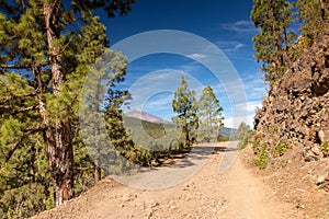 La Orotava Valley of Teneriffe