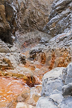 La palma cascada de los colores river