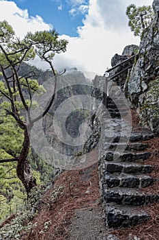 La palma cumbrecita mountains trail