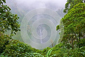 La Paz Waterfall among the cloud forest in Alajuela, Costa Rica