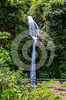 La Paz Waterfall gardens, with green tropical forest in Central Valley, Costa Rica