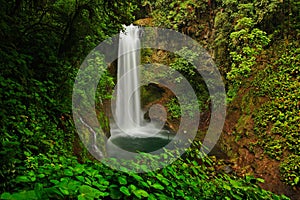 La Paz Waterfall gardens, with green tropical forest, Central Valley, Costa RIca photo