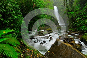 Cascata giardino verde tropicale foresta centrale Valle,. viaggio. vacanza tropico foresta 