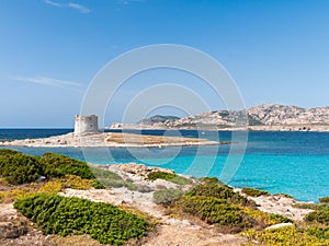 La Pelosa beach panorama