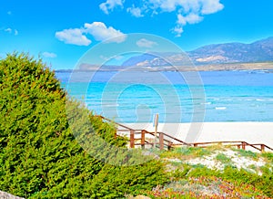 La Pelosa beach under white clouds