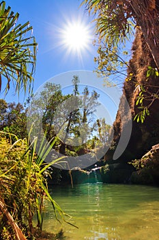 La Piscine Naturelle