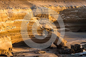 'La Portada' Natural Monument, Antofagasta (Chile) photo