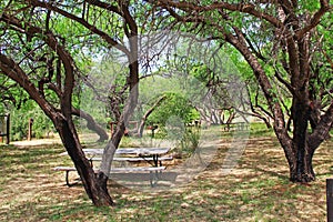 La Posta Quemada Ranch Picnic Area in Colossal Cave Mountain Park