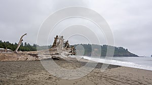 La Push - the most beautiful place in Clallam County County, Washington, USA. Impressive beach, ocean, nature