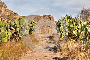 La Quemada, Zacatecas Mexico