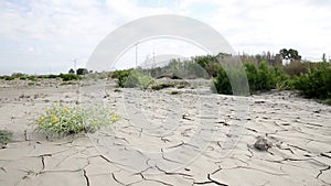 La Rambla of the Andarax dry river - Huercal de Almeria