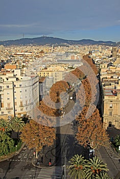 La Rambla in December, Barcelona, Catlonia, Spain