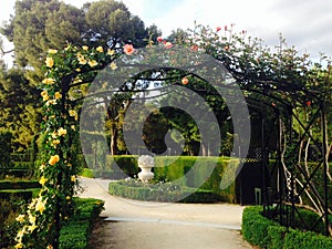 La Rosaleda Rose Garden in Retiro Park Madrid