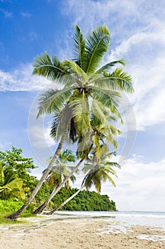 La Sagesse Bay, Grenada