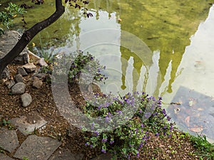 La Sagrada Familia reflection abstract Barcelona photo