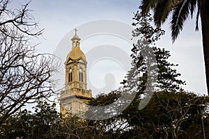 La Serena Cathedral tower raises behind trees photo
