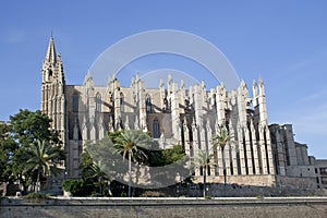 La Seu Cathedral, raw photo
