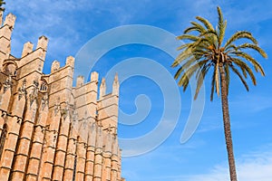 La Seu, the gothic cathedral de Palma de Mallorca