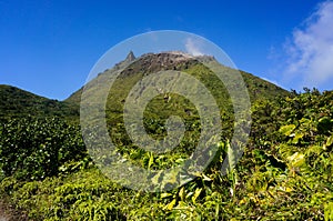 La SouffriÃÂ¨re volcano in Guadeloupe