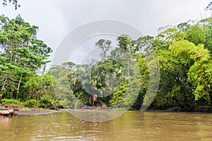 La Suerte river, Costa Ri