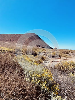 La Tejita beach area in MontaÃ±a Roja natural reserve in Tenerife, Canary Islands, Spain photo