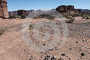 La Torre, rock formation of the Jurassic period of the Triassic desert and arid place of the Talampaya cayon La Rioja Argentina