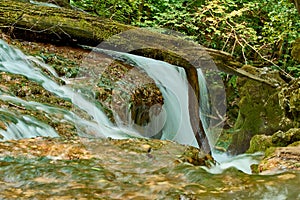 La Vaioaga waterfall logg stone rocks moss flowing water photo