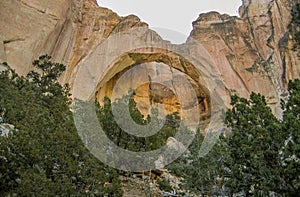 La Ventana Natural Arch near Grants, New Mexico