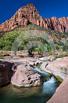 La Verkin Creek - Zion National Park