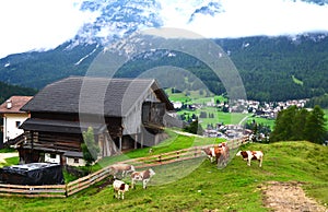 La Villa, Val Badia. Dolomites, Italy photo