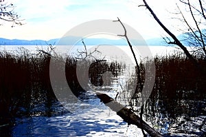 Laacher See (Glees), Germany - 11 30 2020: blue lake in foggy sunset light