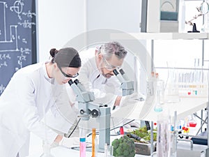 Lab analysis under microscope photo