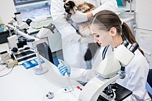 Lab assistant and veterinarian examining tissues sample from a cat