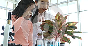 In lab class girl look through magnifying glass.